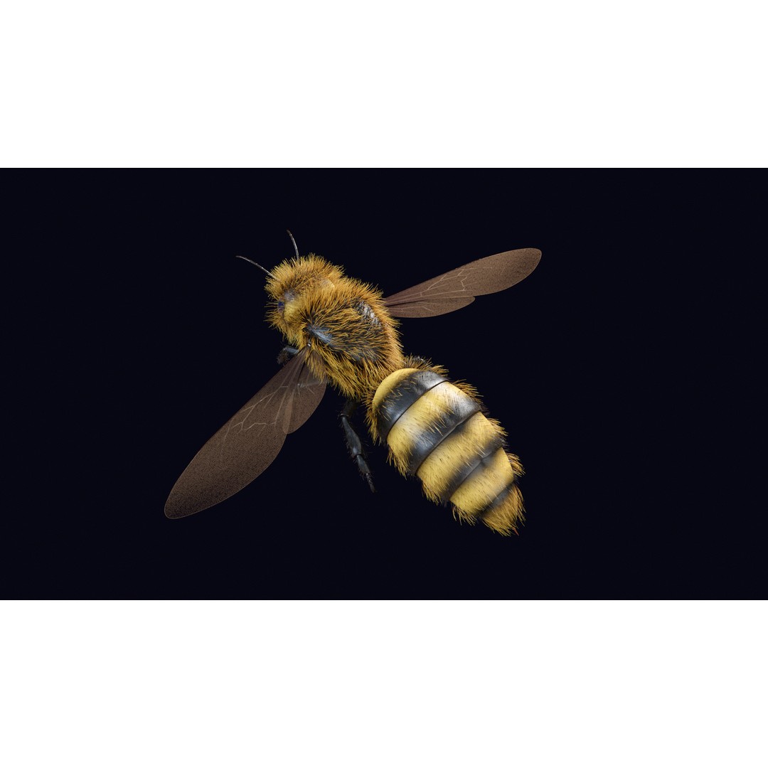 Animated Worker Bee 3D Model – Rigged PBR Asset, FBX & Blender Formats - View 4