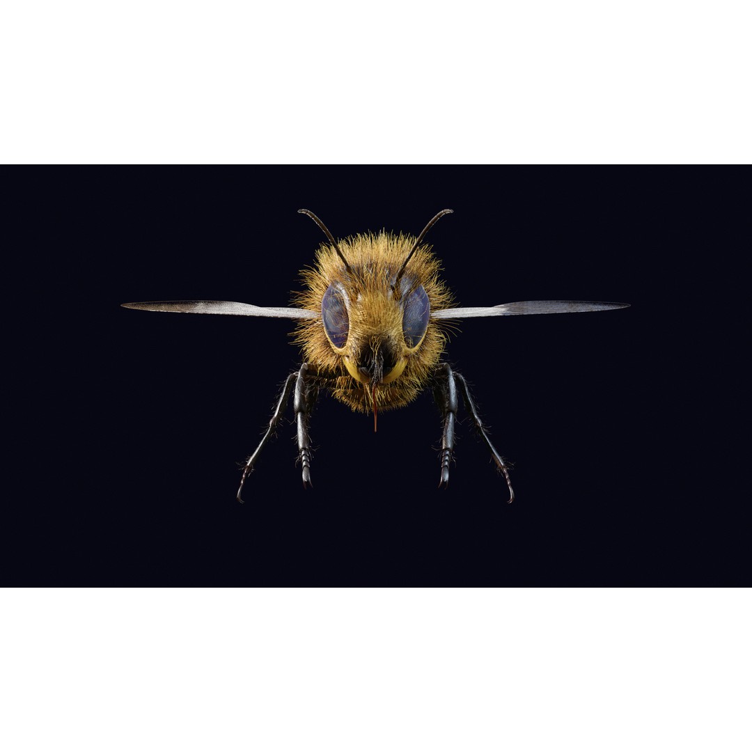 Animated Worker Bee 3D Model – Rigged PBR Asset, FBX & Blender Formats - View 6