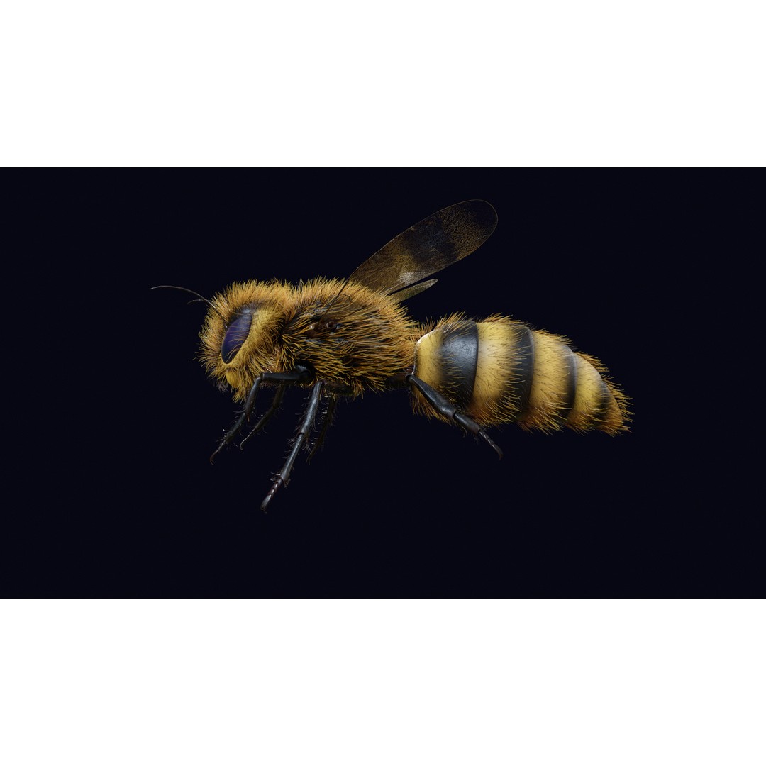 Animated Worker Bee 3D Model – Rigged PBR Asset, FBX & Blender Formats - View 7