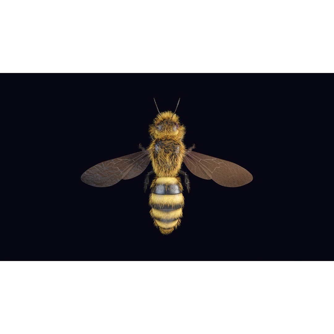 Animated Worker Bee 3D Model – Rigged PBR Asset, FBX & Blender Formats - View 8