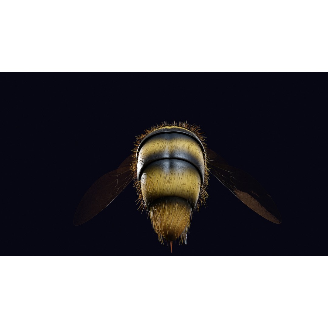 Animated Worker Bee 3D Model – Rigged PBR Asset, FBX & Blender Formats - View 9