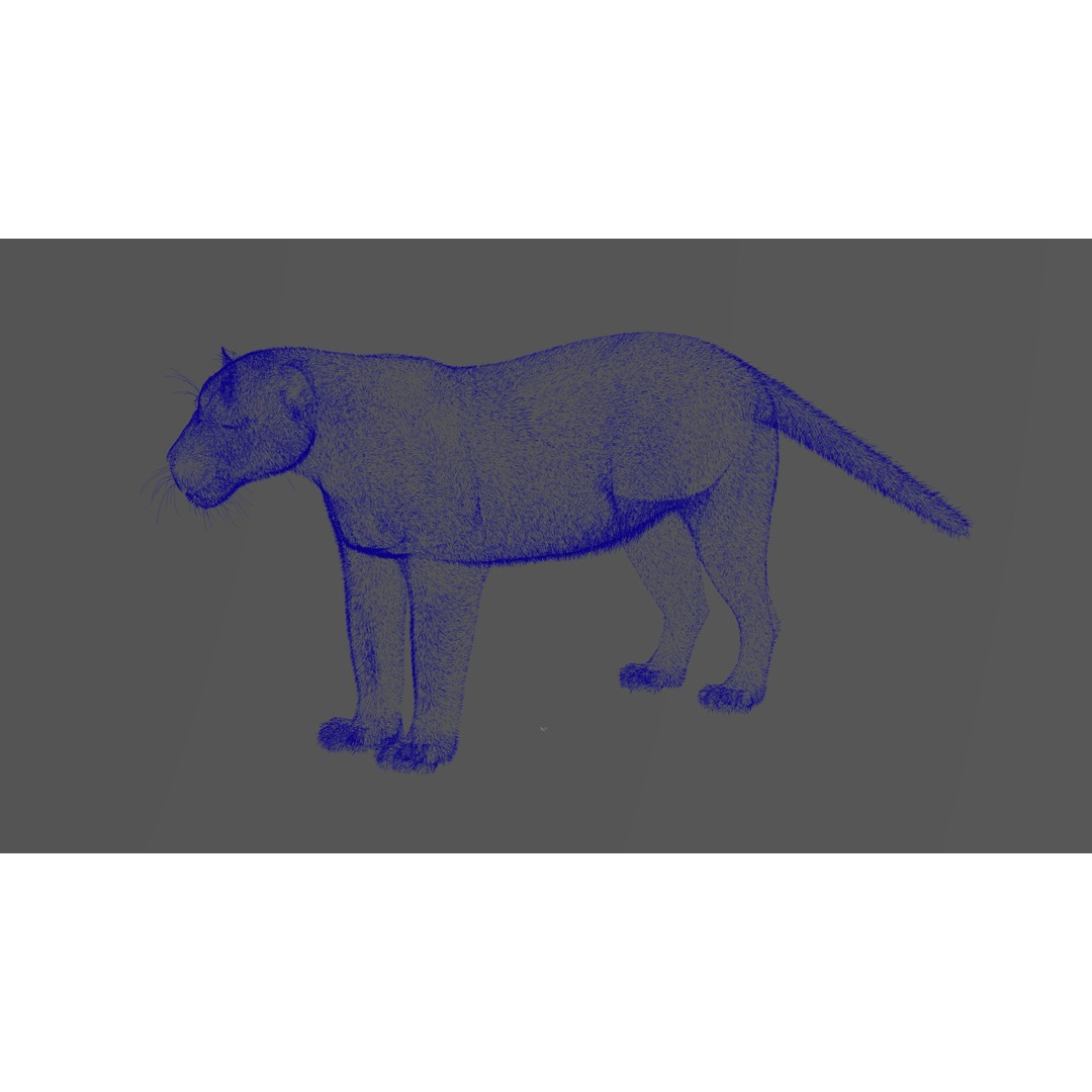 Jaguar 3D Model – Realistic Animated VFX with Rigging and Textures - View 11