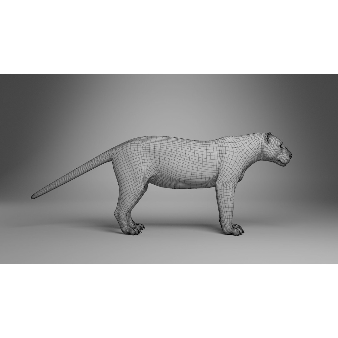 Jaguar 3D Model – Realistic Animated VFX with Rigging and Textures - View 12