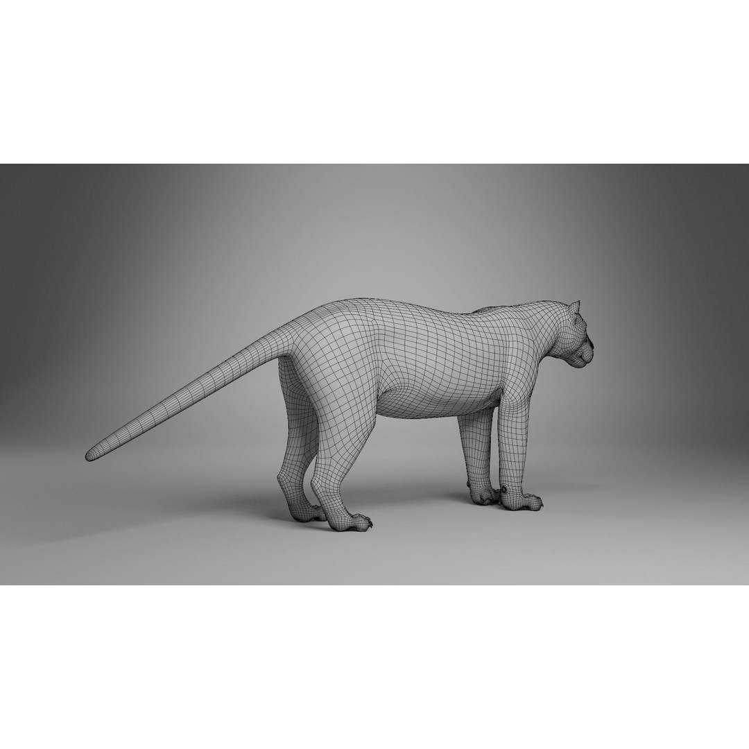 Jaguar 3D Model – Realistic Animated VFX with Rigging and Textures - View 13