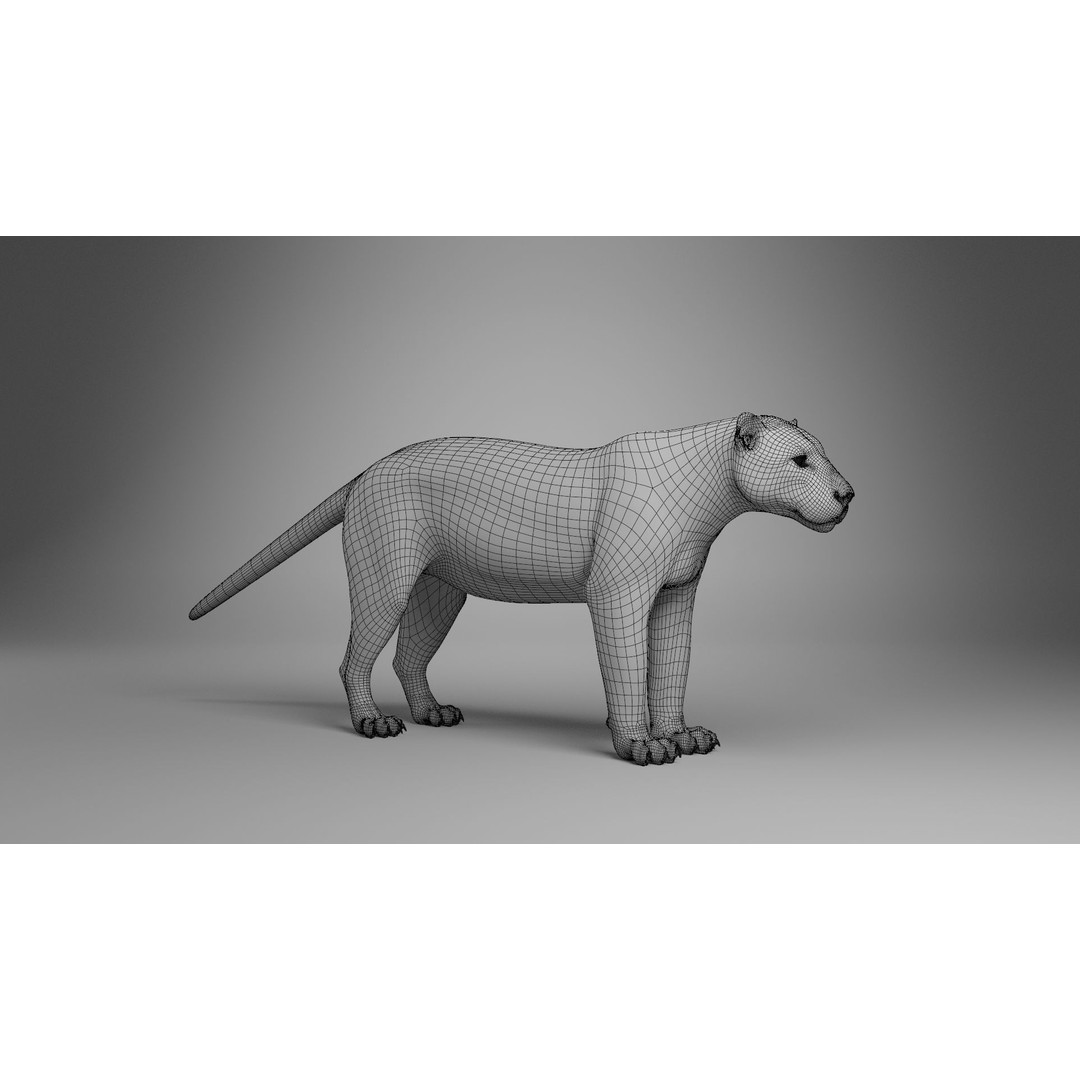 Jaguar 3D Model – Realistic Animated VFX with Rigging and Textures - View 14