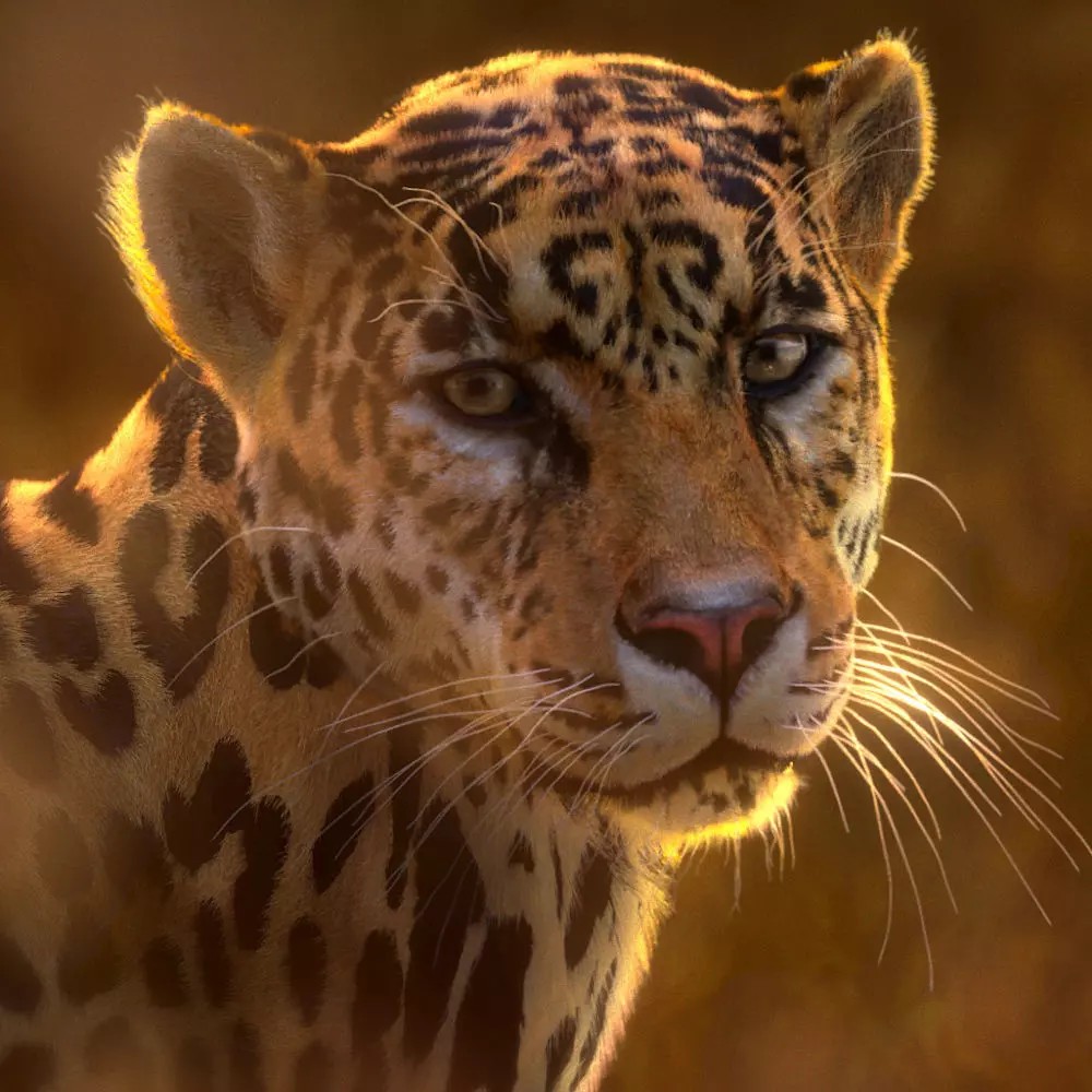 Jaguar 3D Model – Realistic Animated VFX with Rigging and Textures - View 2