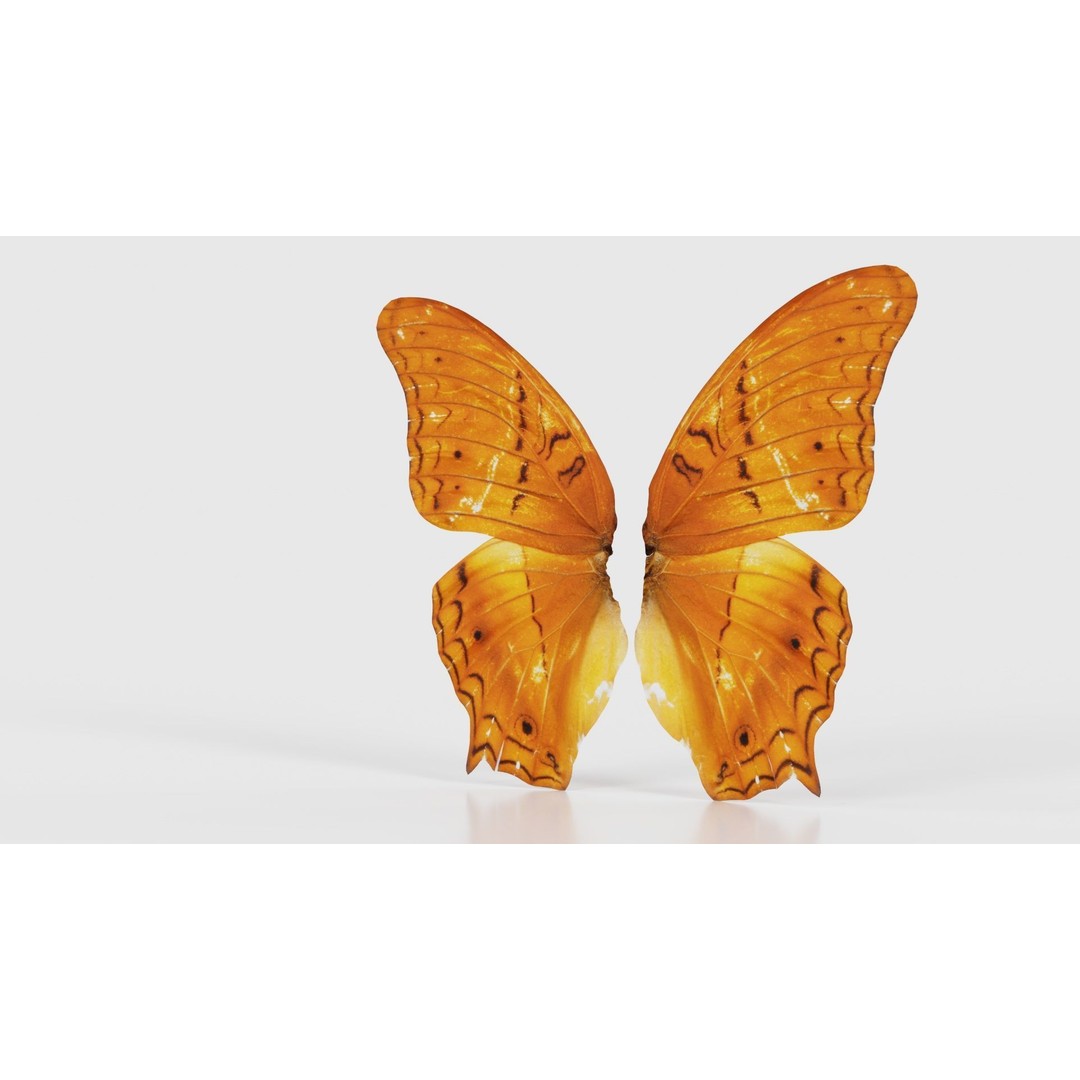 Mexican Fritillary Butterfly 3D Model – Low Poly PBR Asset, FBX, OBJ