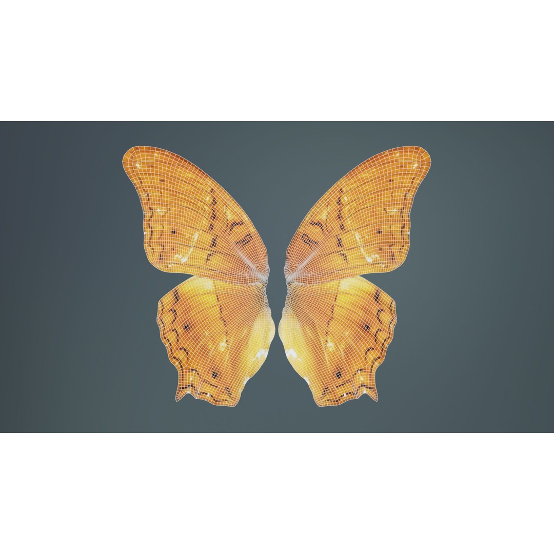 Mexican Fritillary Butterfly 3D Model – Low Poly PBR Asset, FBX, OBJ - View 11
