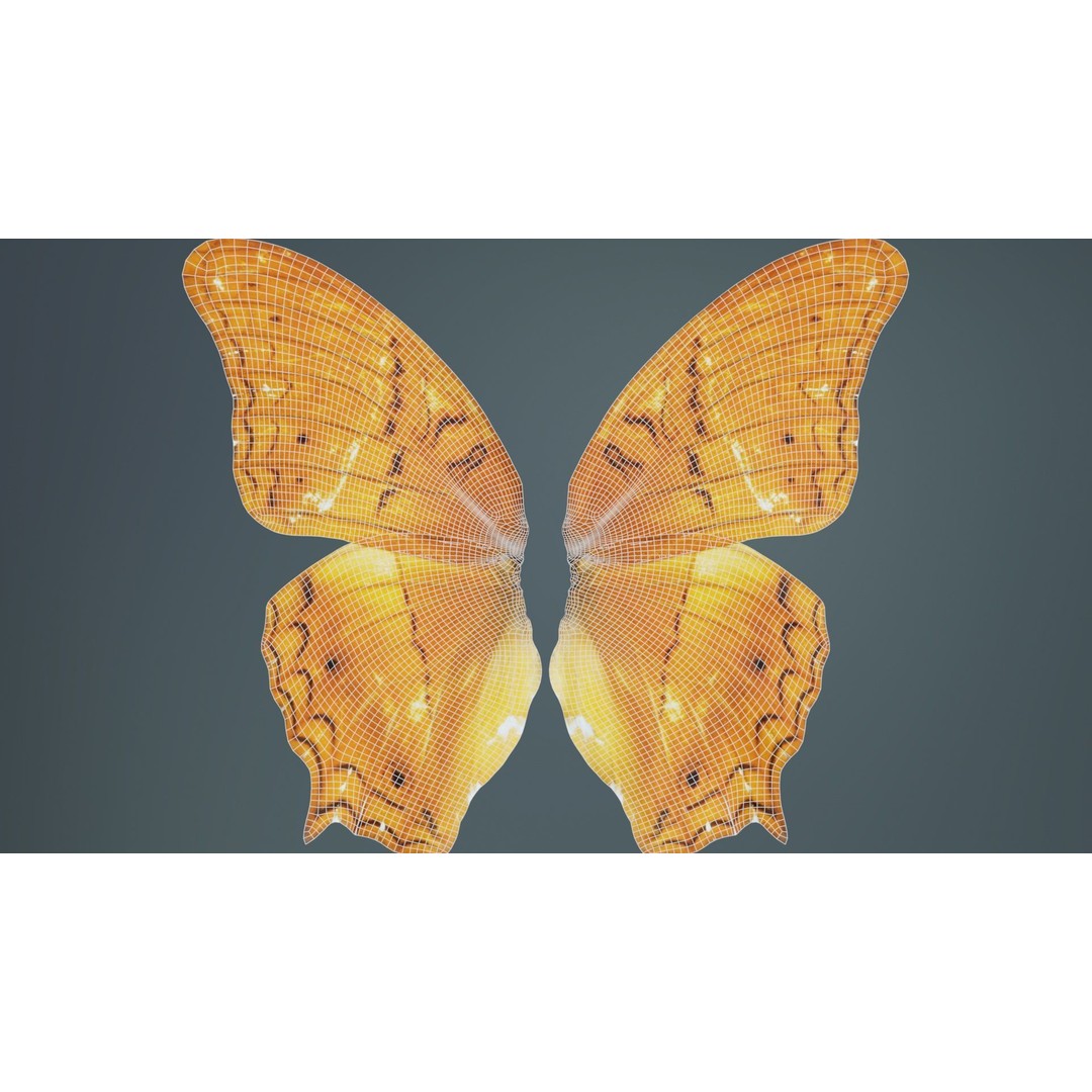 Mexican Fritillary Butterfly 3D Model – Low Poly PBR Asset, FBX, OBJ - View 12