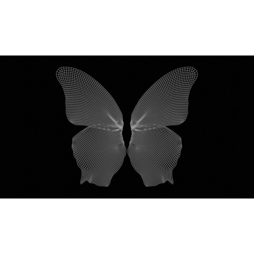 Mexican Fritillary Butterfly 3D Model – Low Poly PBR Asset, FBX, OBJ - View 13