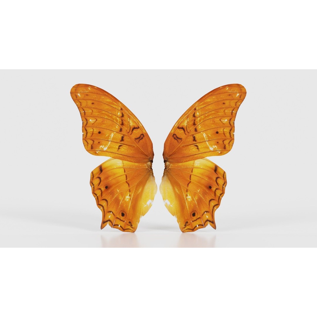 Mexican Fritillary Butterfly 3D Model – Low Poly PBR Asset, FBX, OBJ - View 17
