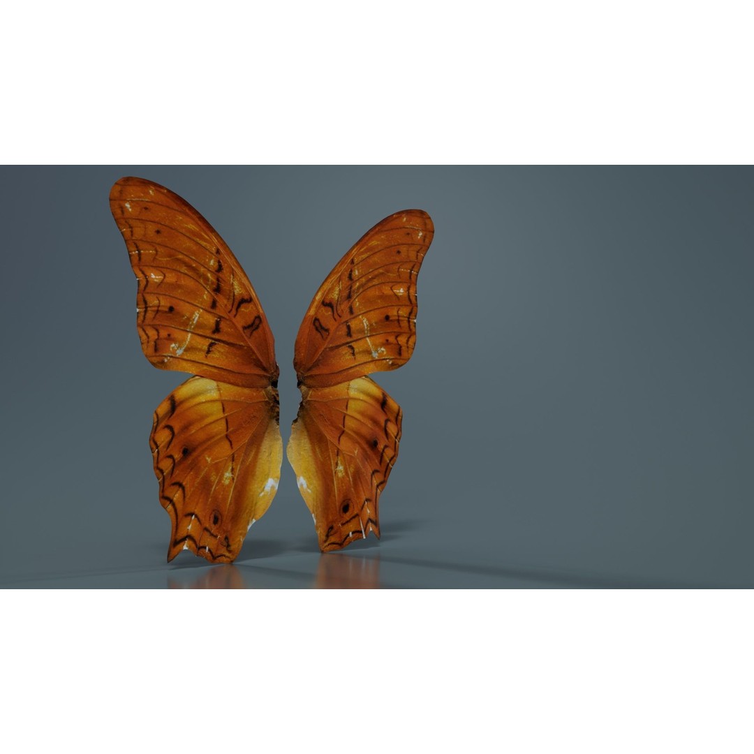 Mexican Fritillary Butterfly 3D Model – Low Poly PBR Asset, FBX, OBJ - View 3