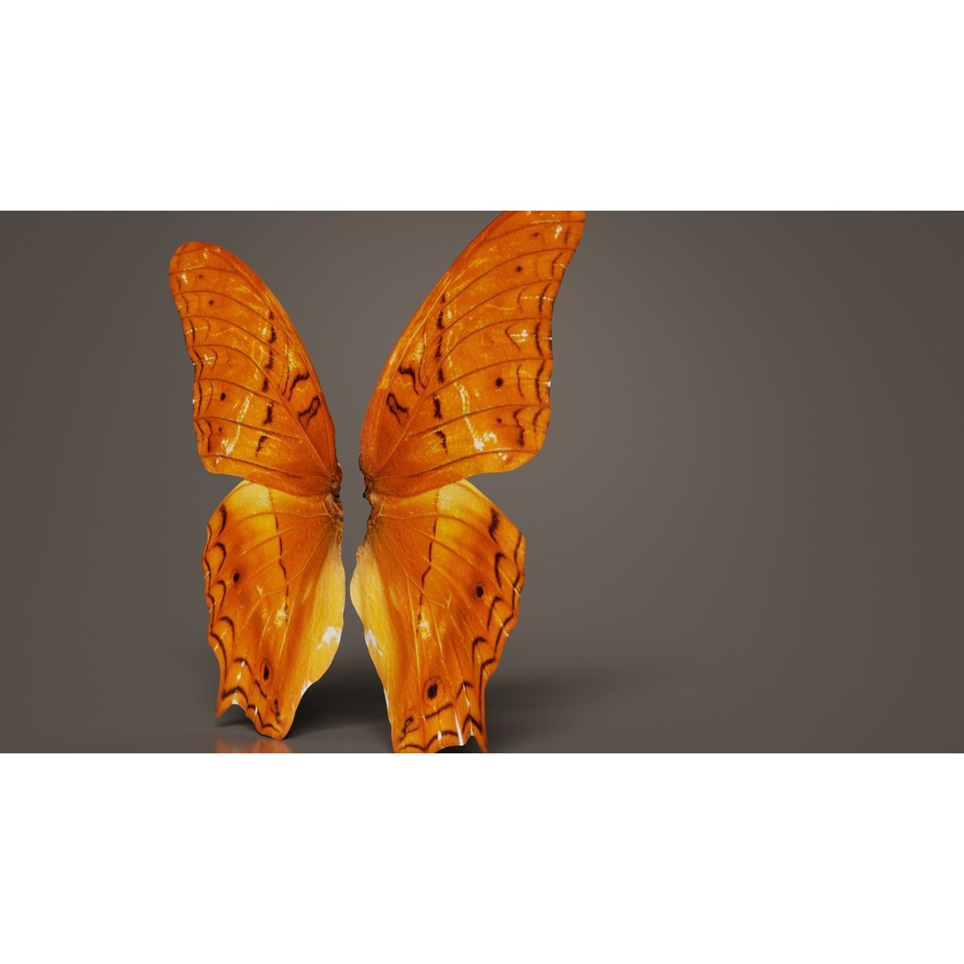 Mexican Fritillary Butterfly 3D Model – Low Poly PBR Asset, FBX, OBJ - View 4