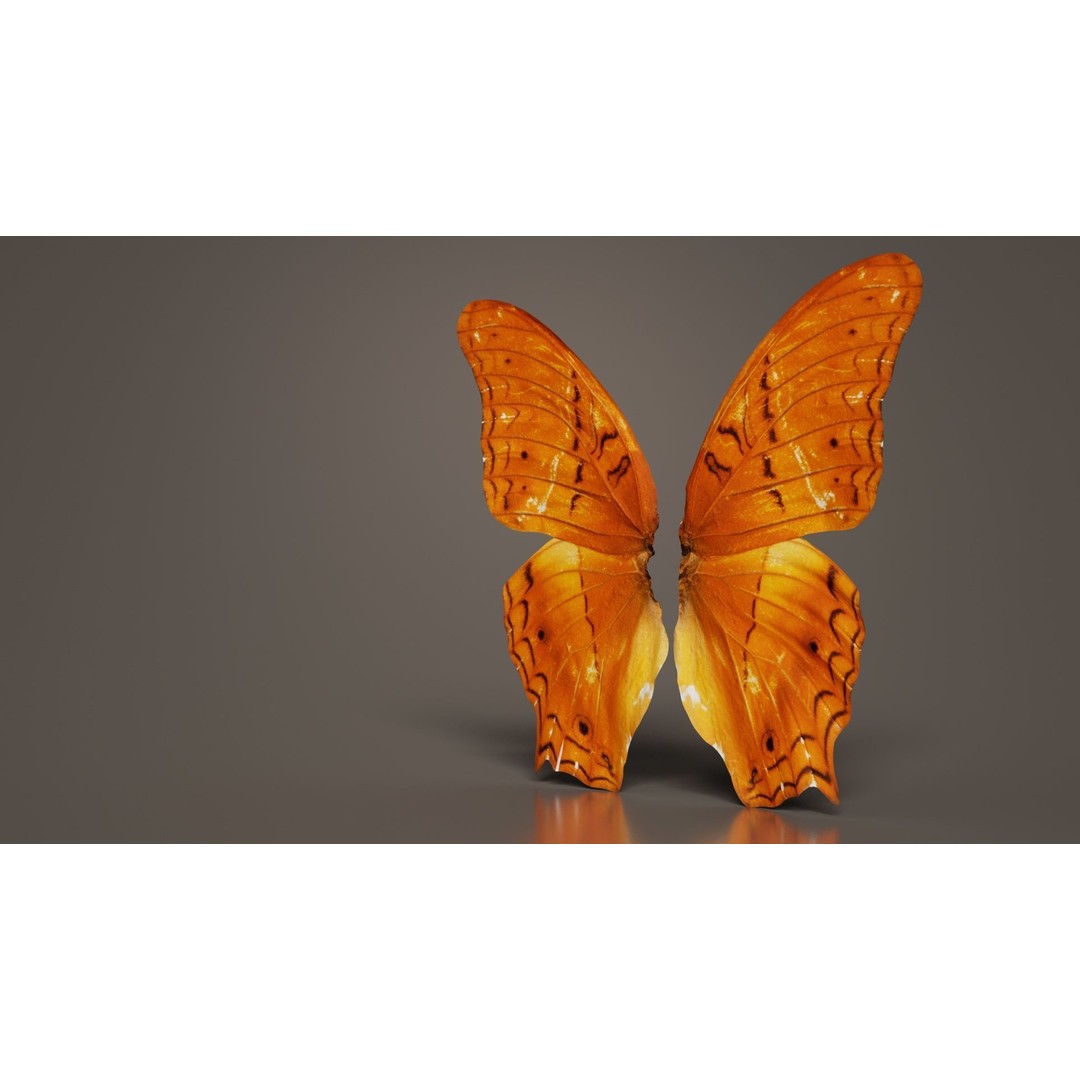 Mexican Fritillary Butterfly 3D Model – Low Poly PBR Asset, FBX, OBJ - View 7