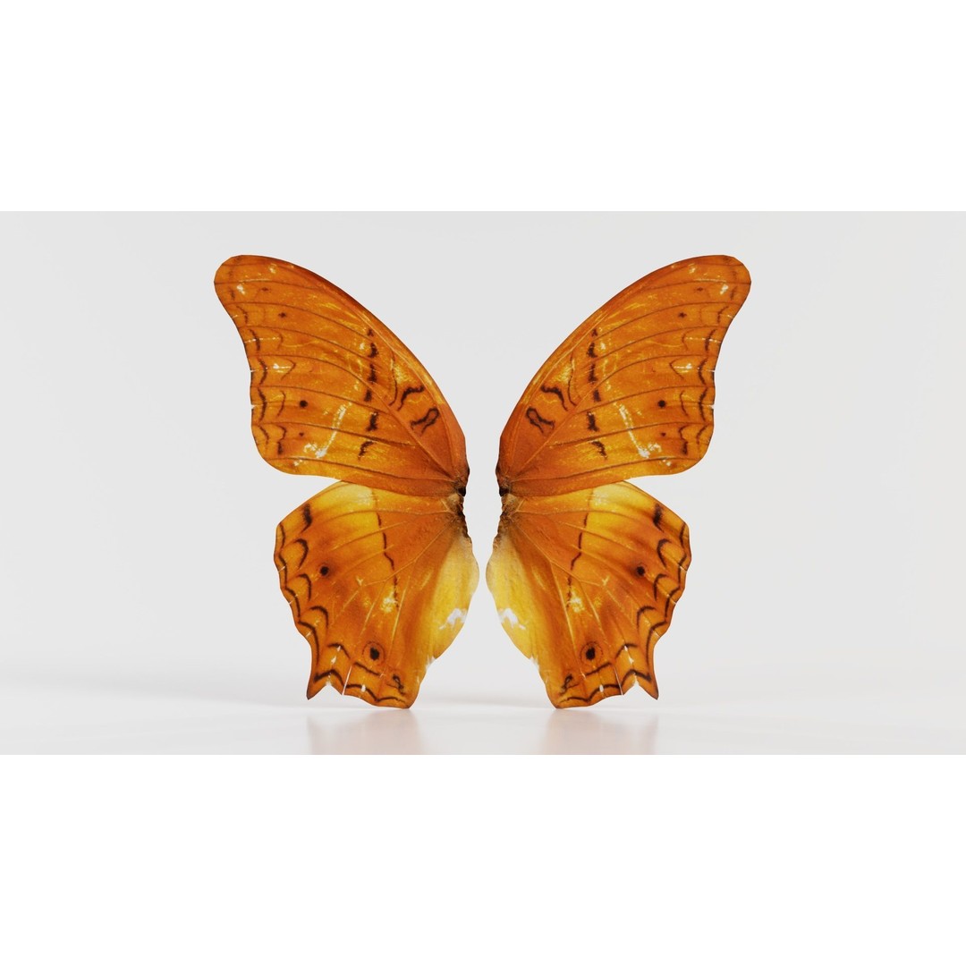 Mexican Fritillary Butterfly 3D Model – Low Poly PBR Asset, FBX, OBJ - View 8