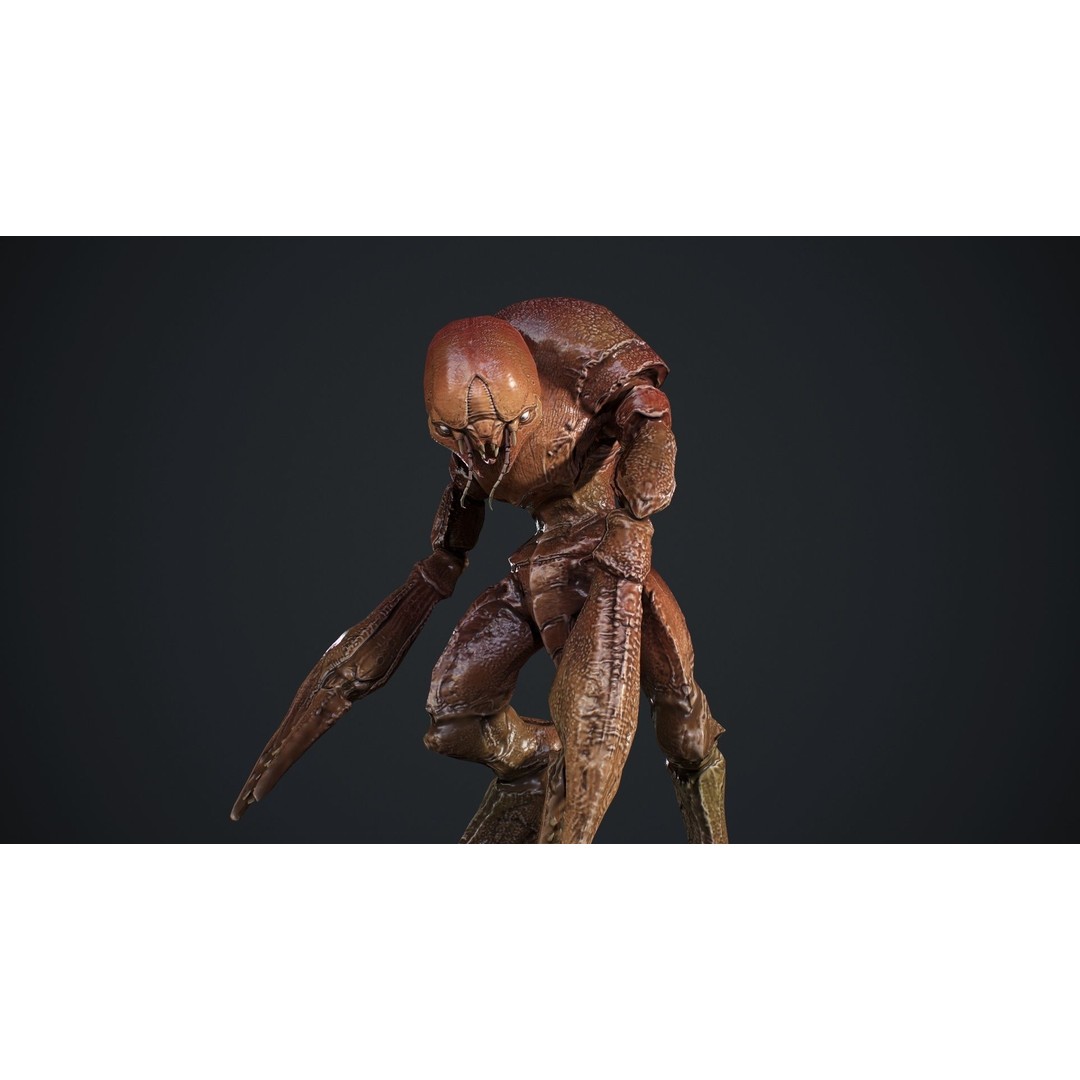 Crab Creature 3D Model – Low Poly Animated Fantasy Character, FBX - View 13
