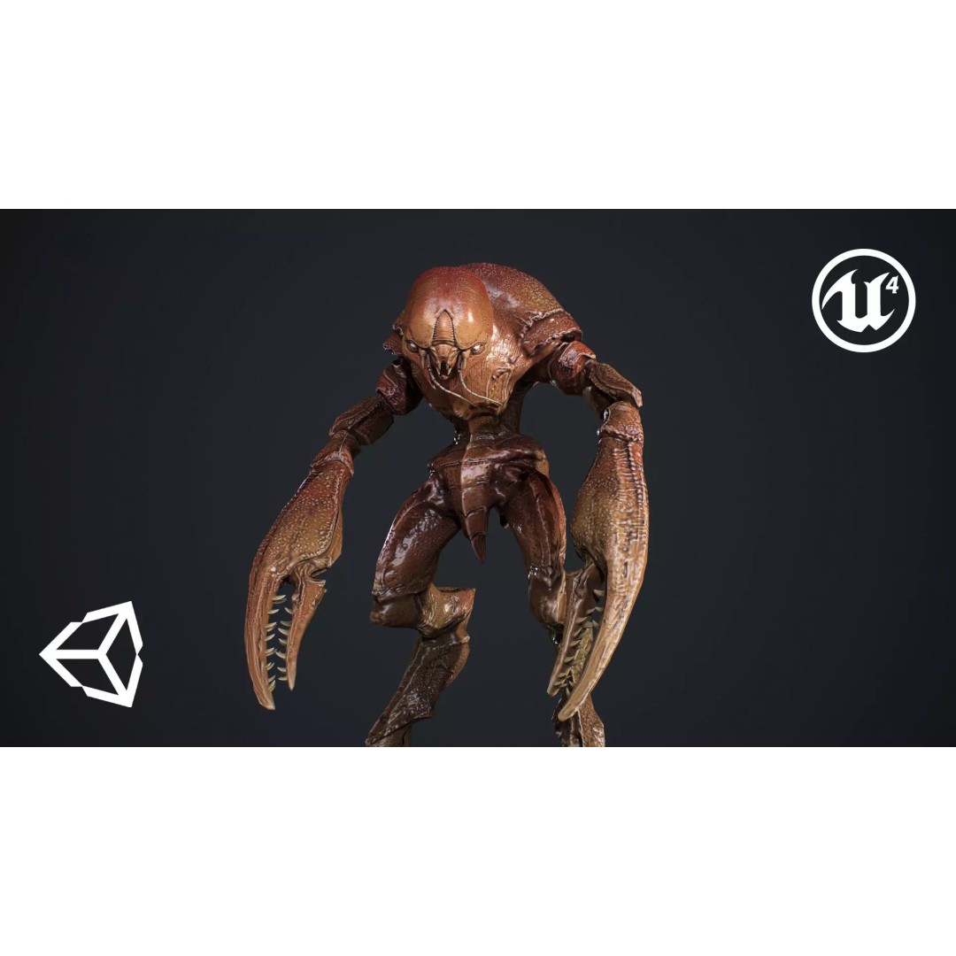Crab Creature 3D Model – Low Poly Animated Fantasy Character, FBX - View 2