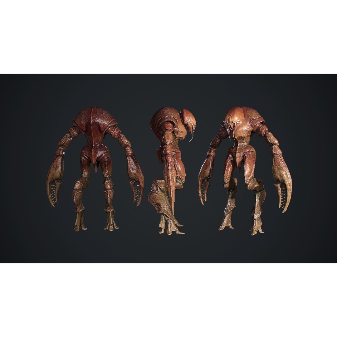 Crab Creature 3D Model – Low Poly Animated Fantasy Character, FBX - View 4