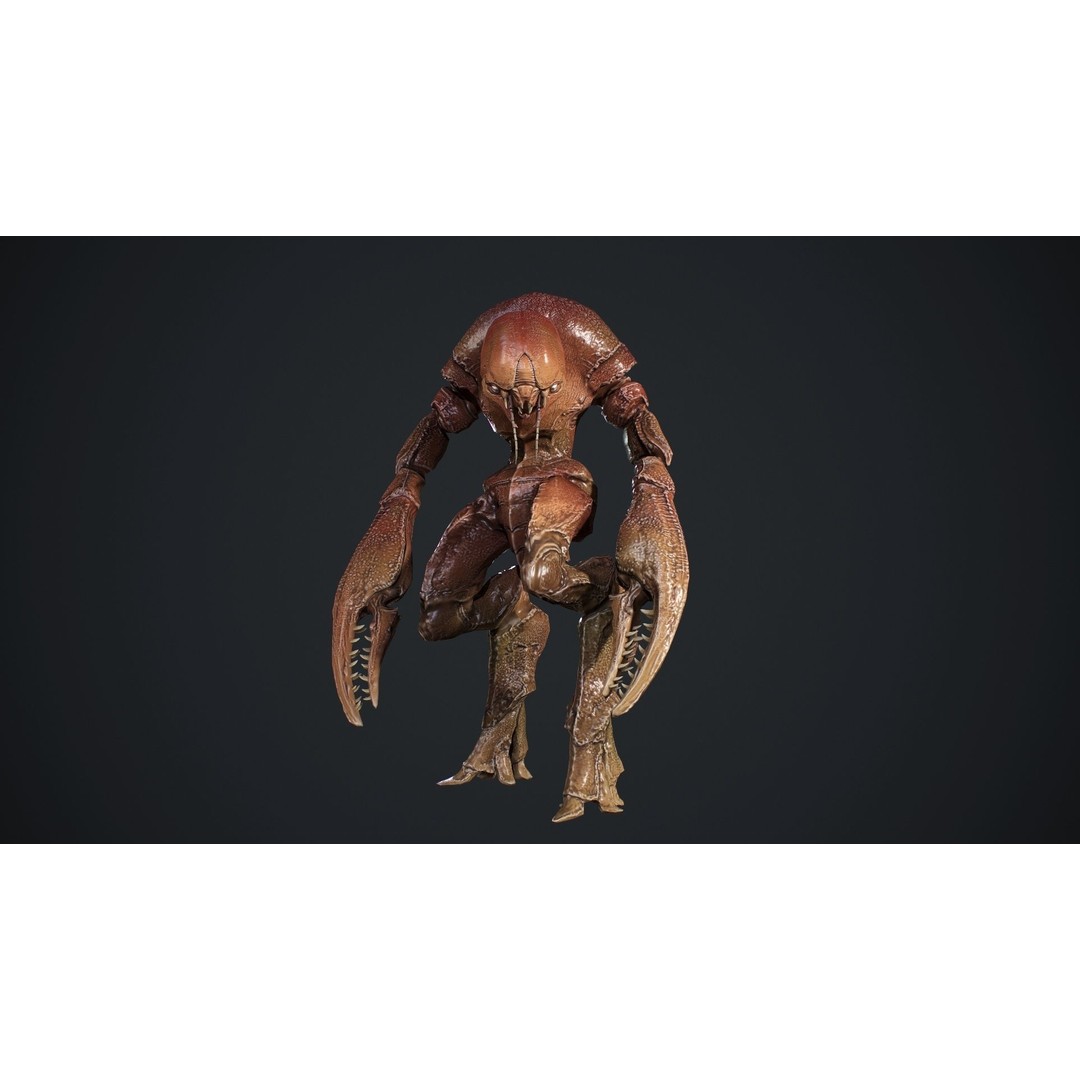 Crab Creature 3D Model – Low Poly Animated Fantasy Character, FBX - View 8