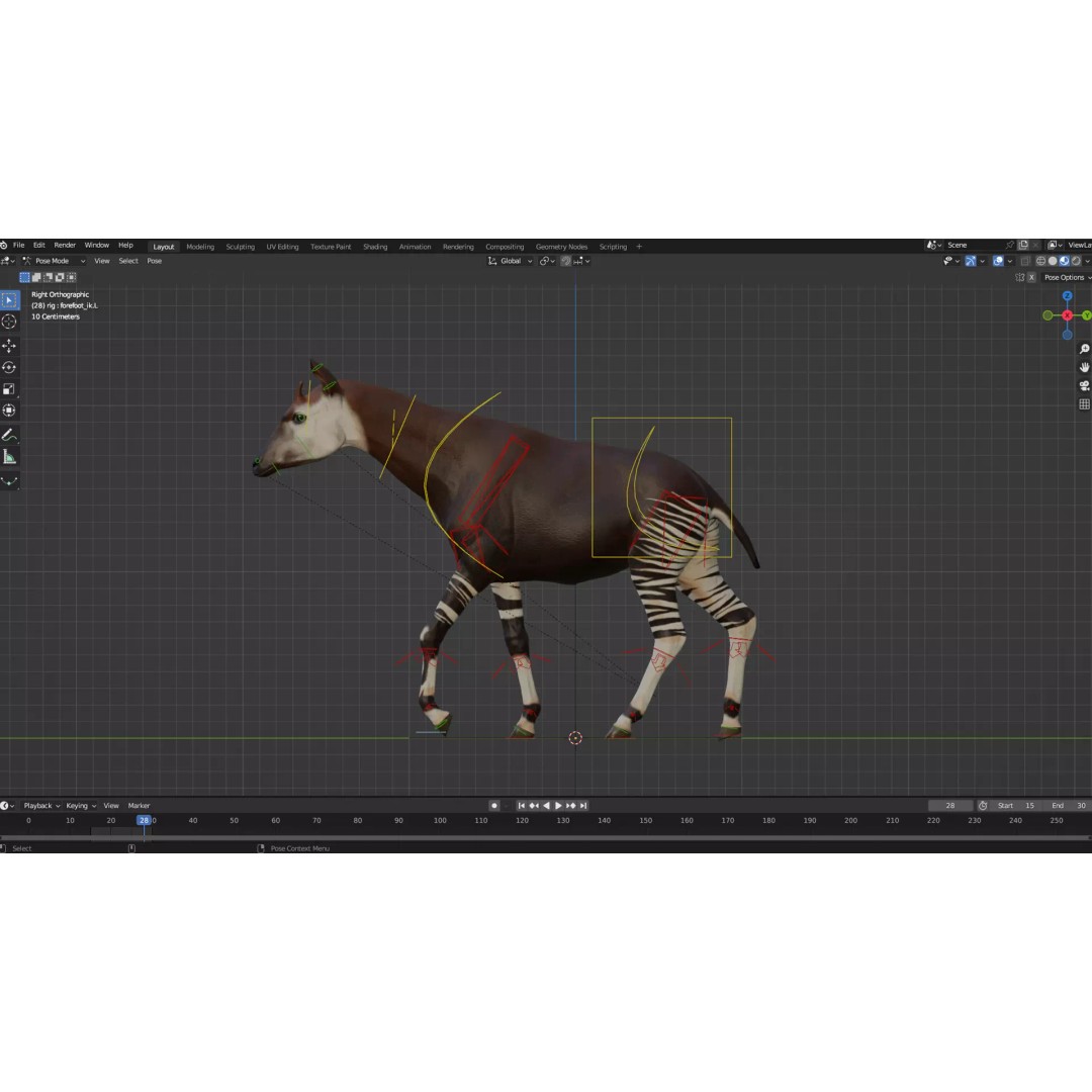 Okapi 3D Model – Low Poly Animated Rigged Game Asset, FBX - View 10