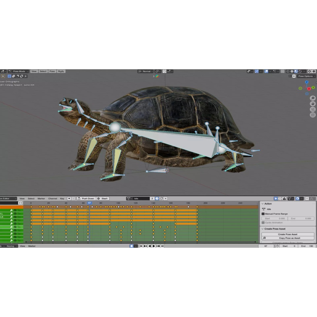 Realistic Galapagos Tortoise 3D Model – Low Poly Animated Rigged Asset, FBX - View 11