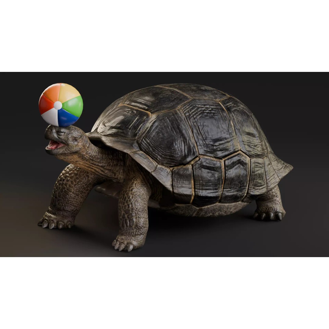 Realistic Galapagos Tortoise 3D Model – Low Poly Animated Rigged Asset, FBX - View 6