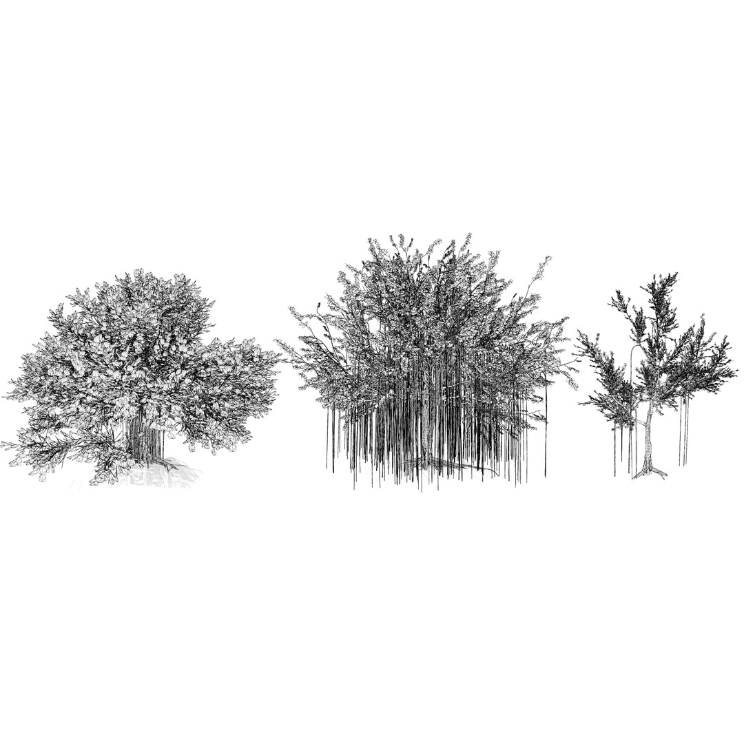 Ficus Carica 3D Model – Low Poly Game Asset, PBR Textures, FBX
