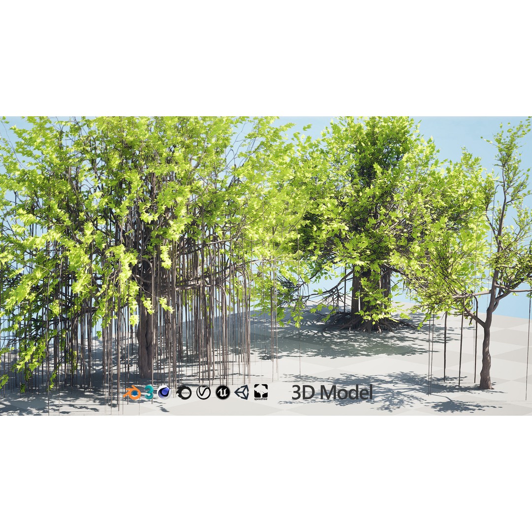 Ficus Carica 3D Model – Low Poly Game Asset, PBR Textures, FBX - View 4