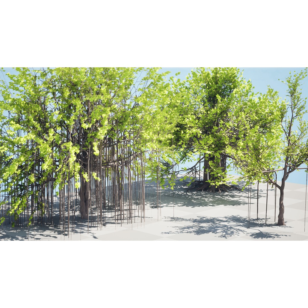 Ficus Carica 3D Model – Low Poly Game Asset, PBR Textures, FBX - View 5