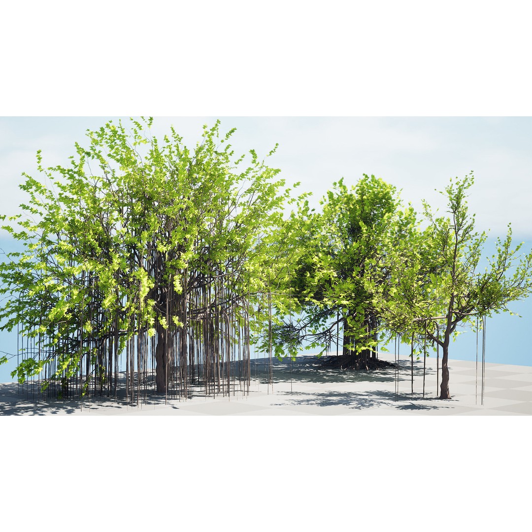 Ficus Carica 3D Model – Low Poly Game Asset, PBR Textures, FBX - View 6