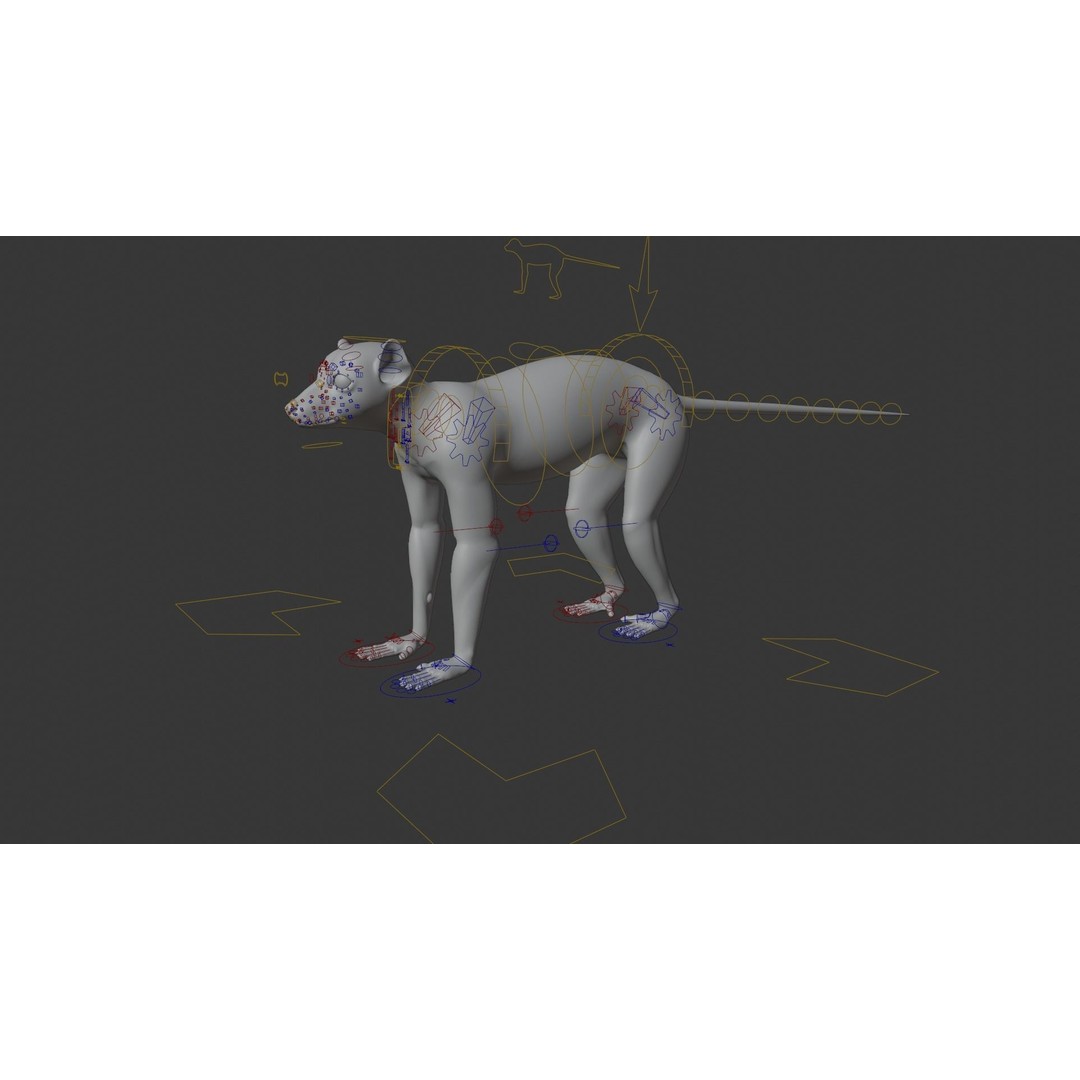 Ring Tailed Lemur 3D Model – Realistic Animated Rigged Character, Blender - View 11