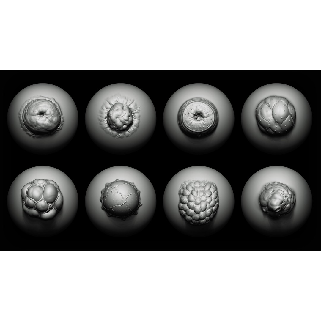 40 Mutant Brush 3D Model – Zbrush & Blender Alphas for Creatures - View 3