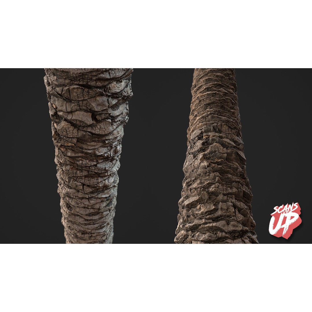 Palm Bark 3D Model – PBR Textures for Game Assets, FBX