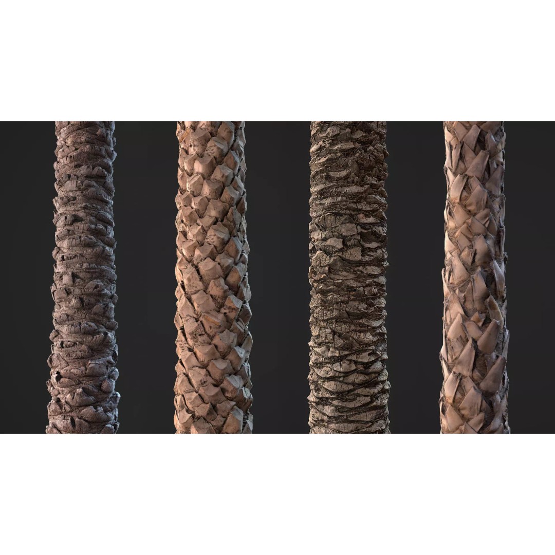 Palm Bark 3D Model – PBR Textures for Game Assets, FBX - View 2