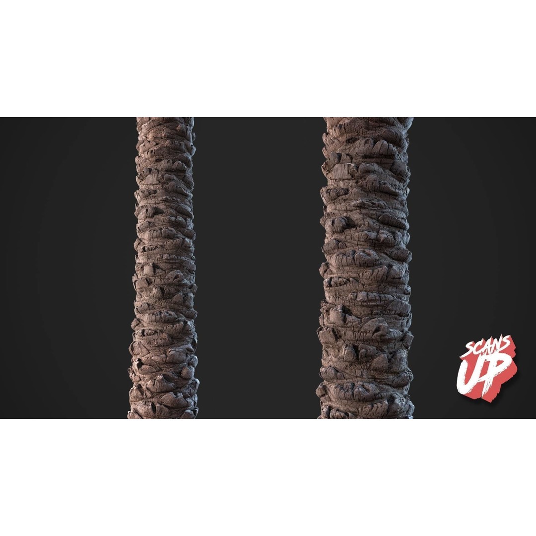 Palm Bark 3D Model – PBR Textures for Game Assets, FBX - View 3