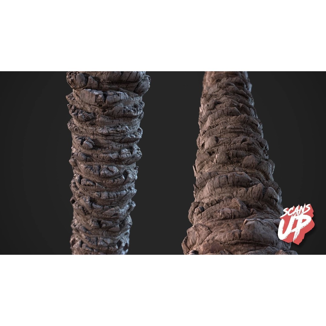 Palm Bark 3D Model – PBR Textures for Game Assets, FBX - View 4