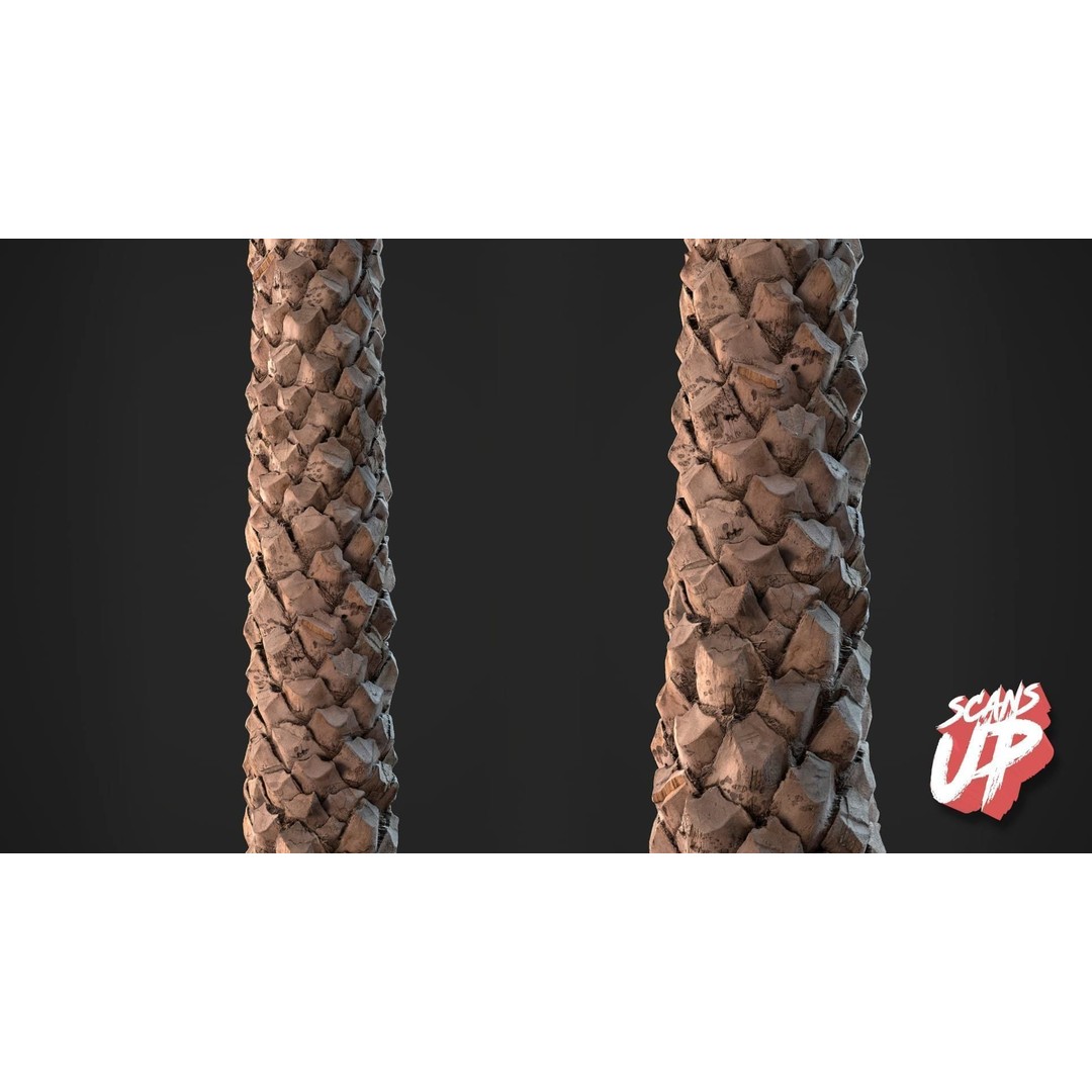 Palm Bark 3D Model – PBR Textures for Game Assets, FBX - View 5