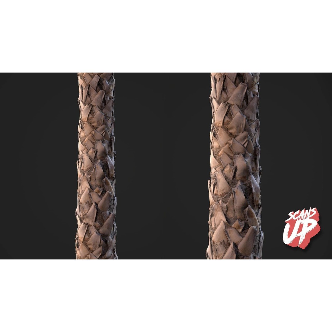 Palm Bark 3D Model – PBR Textures for Game Assets, FBX - View 6