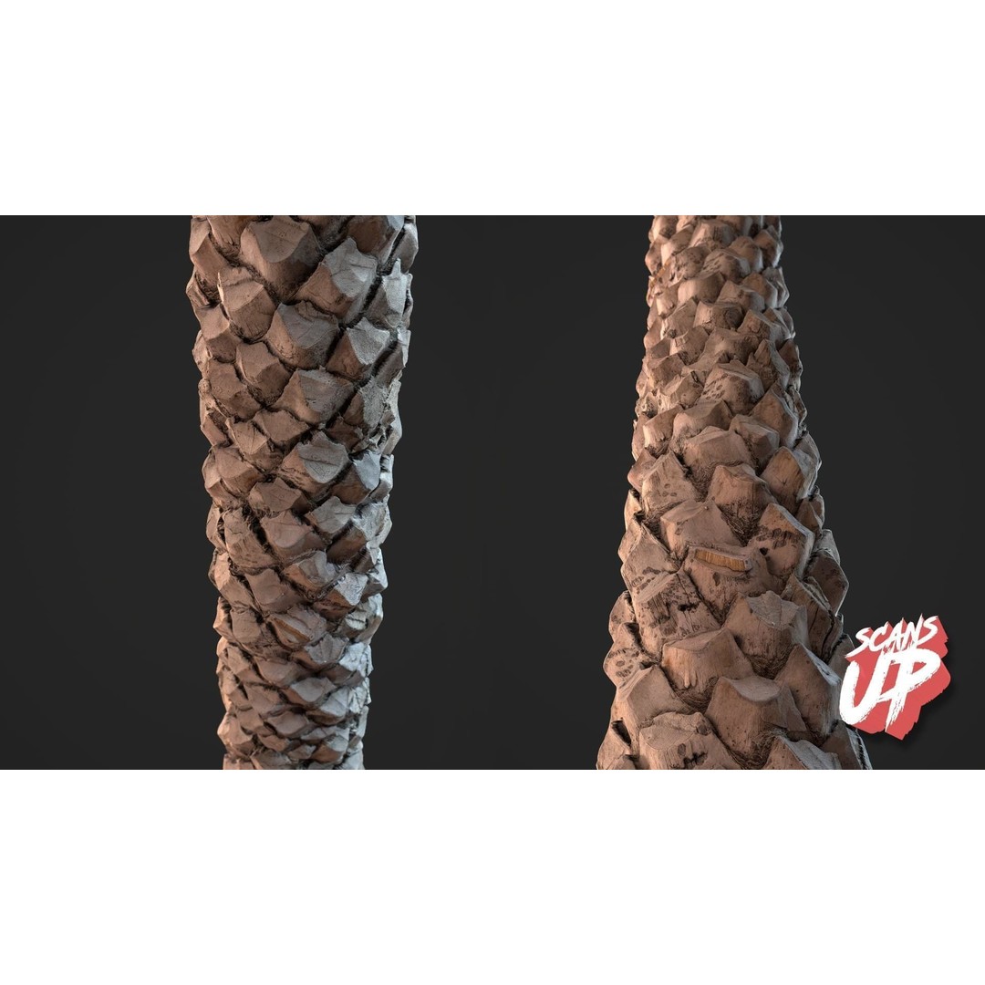 Palm Bark 3D Model – PBR Textures for Game Assets, FBX - View 7