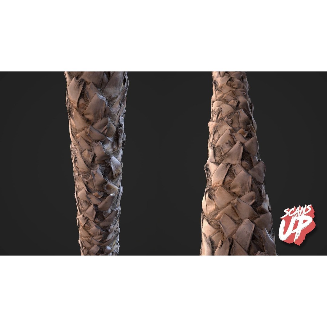 Palm Bark 3D Model – PBR Textures for Game Assets, FBX - View 8