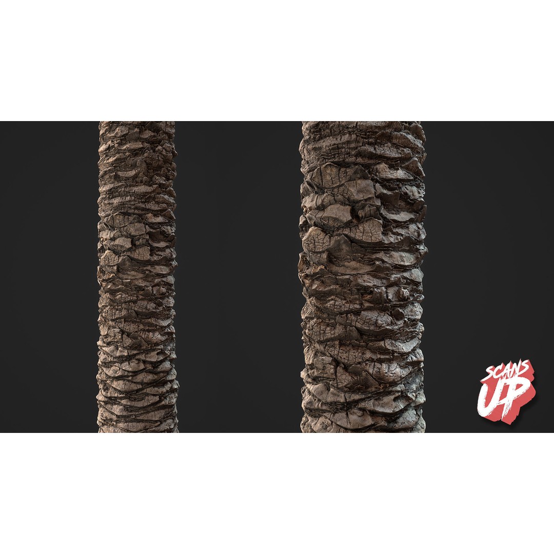 Palm Bark 3D Model – PBR Textures for Game Assets, FBX - View 9
