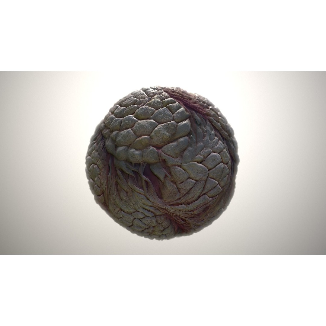 Monster Skin 3D Model – Seamless PBR Texture Pack, FBX