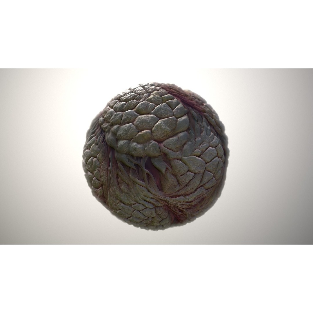 Monster Skin 3D Model – Seamless PBR Texture Pack, FBX - View 3