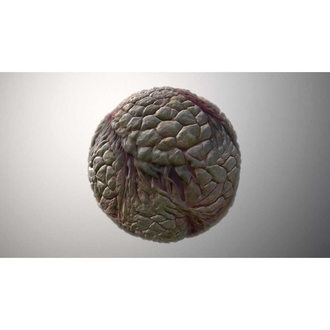 Monster Skin 3D Model – Seamless PBR Texture Pack, FBX - View 5