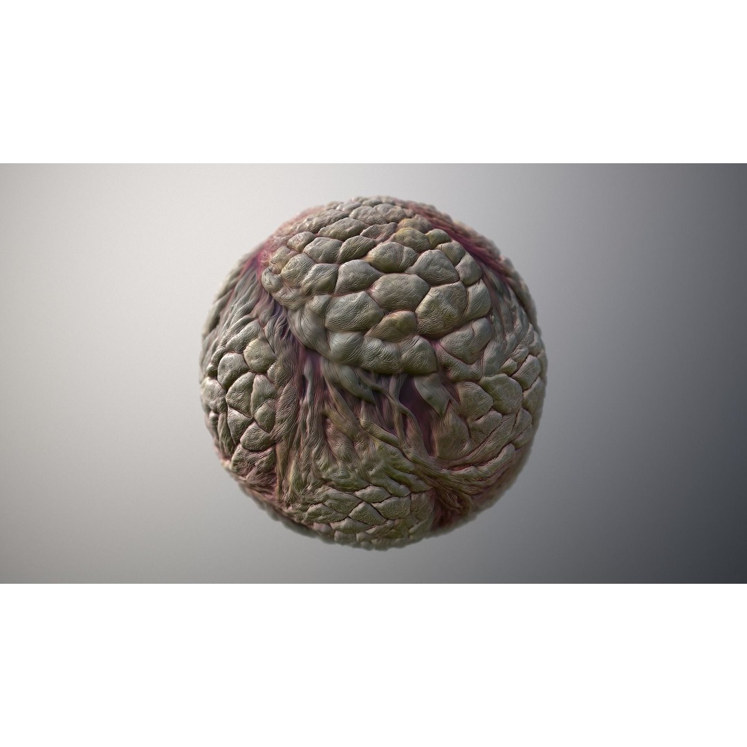 Monster Skin 3D Model – Seamless PBR Texture Pack, FBX - View 6