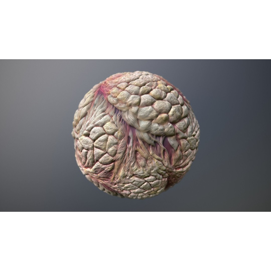 Monster Skin 3D Model – Seamless PBR Texture Pack, FBX - View 9