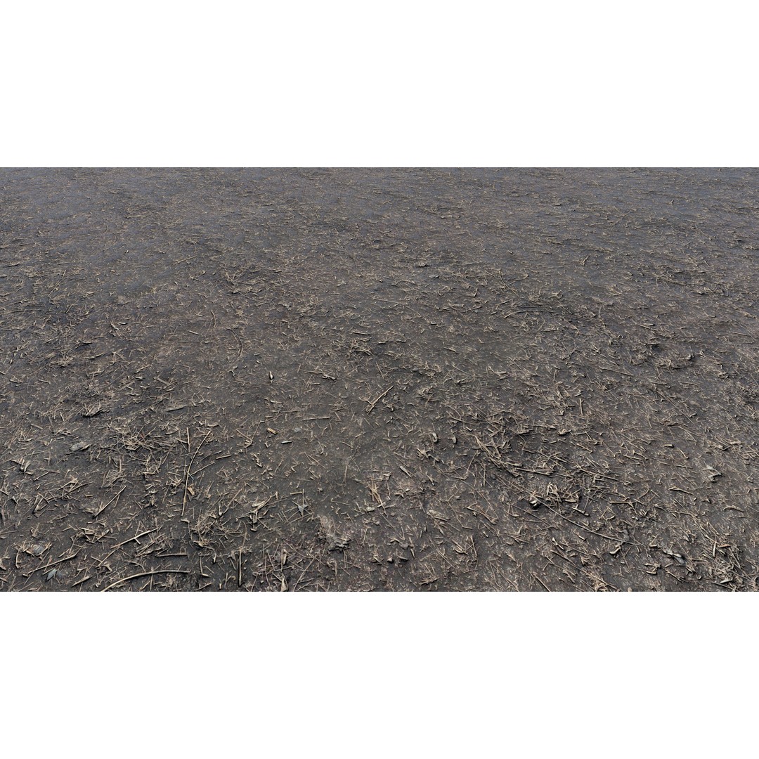 Realistic Terrain Textures 3D Model – PBR Natural Textures, 2K-6K Resolutions - View 10