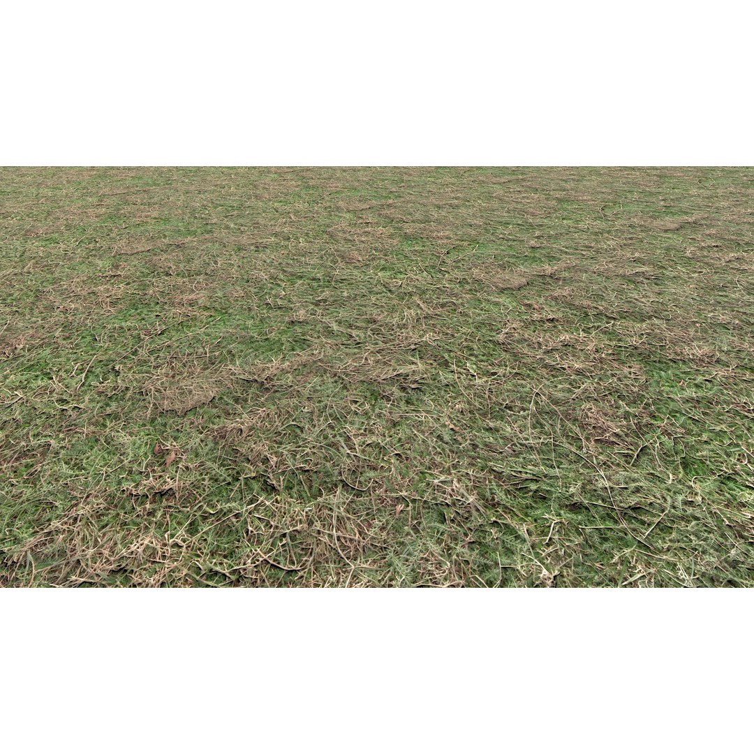 Realistic Terrain Textures 3D Model – PBR Natural Textures, 2K-6K Resolutions - View 12