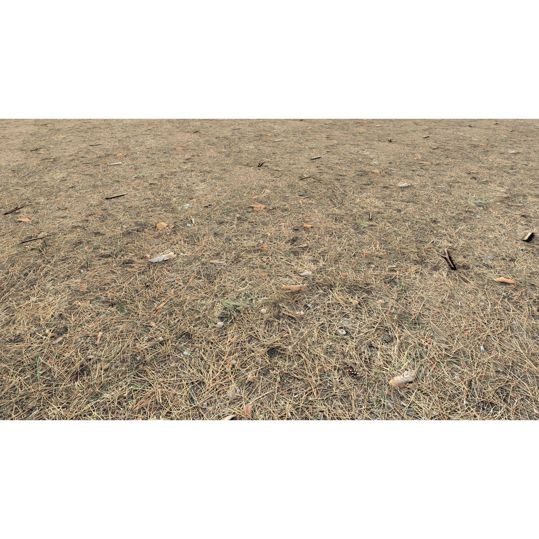 Realistic Terrain Textures 3D Model – PBR Natural Textures, 2K-6K Resolutions - View 14
