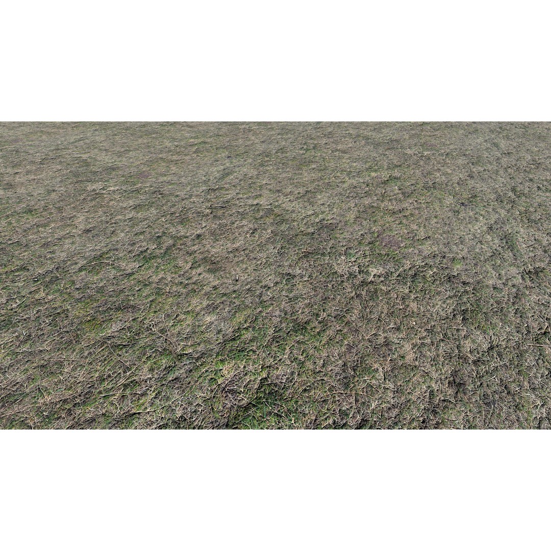 Realistic Terrain Textures 3D Model – PBR Natural Textures, 2K-6K Resolutions - View 16